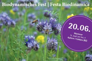 Biodynamisches Fest im Weingut Manincor