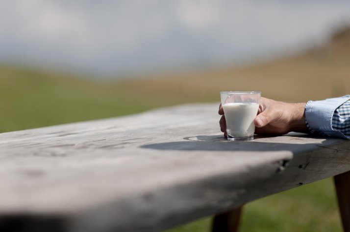 L&#039;esatta composizione del latte di cavalla