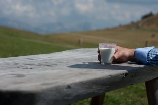 Tabella dei valori nutrizionali del latte di cavalla aggiornata.